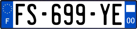 FS-699-YE