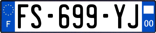 FS-699-YJ