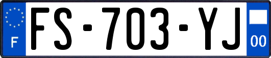 FS-703-YJ