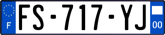 FS-717-YJ