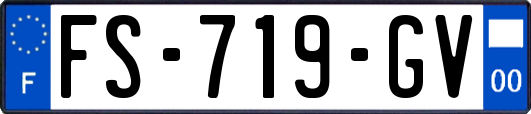 FS-719-GV
