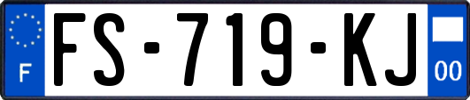 FS-719-KJ