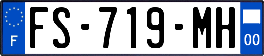 FS-719-MH