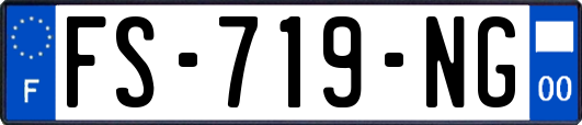 FS-719-NG