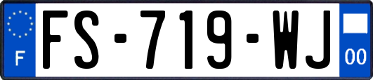 FS-719-WJ