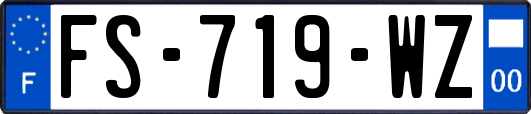 FS-719-WZ