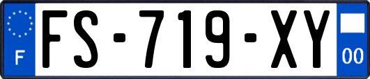 FS-719-XY