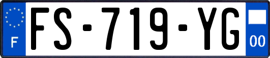 FS-719-YG