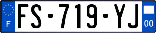 FS-719-YJ