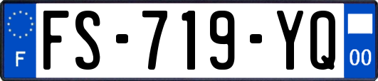 FS-719-YQ