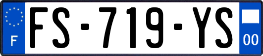 FS-719-YS