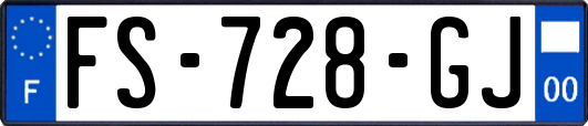 FS-728-GJ