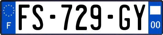 FS-729-GY