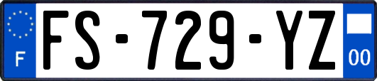 FS-729-YZ