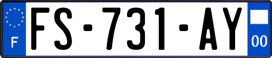 FS-731-AY