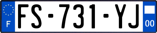 FS-731-YJ