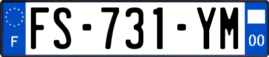 FS-731-YM