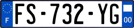 FS-732-YG