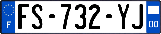 FS-732-YJ