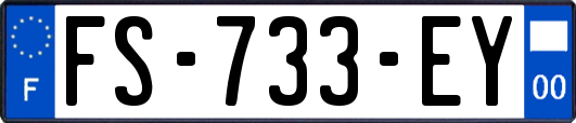FS-733-EY