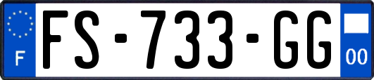 FS-733-GG