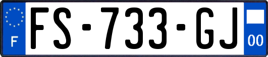 FS-733-GJ