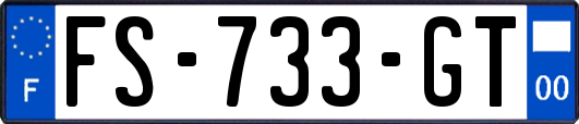 FS-733-GT