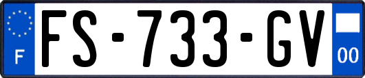 FS-733-GV