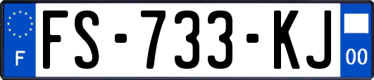 FS-733-KJ