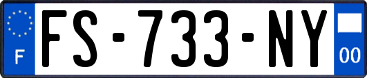 FS-733-NY