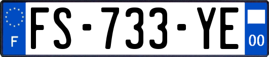 FS-733-YE