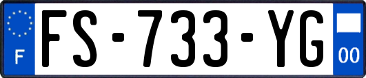 FS-733-YG