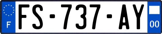 FS-737-AY