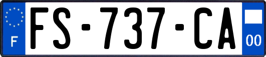FS-737-CA
