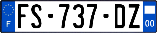 FS-737-DZ
