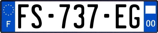 FS-737-EG