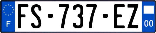 FS-737-EZ