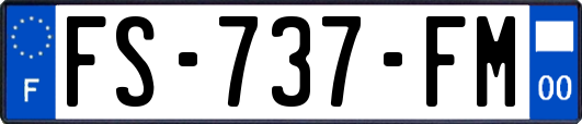 FS-737-FM