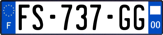 FS-737-GG