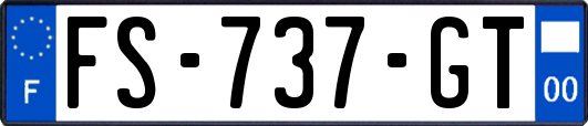 FS-737-GT