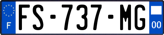 FS-737-MG
