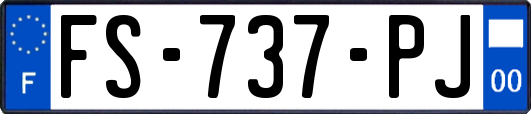 FS-737-PJ