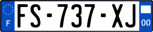 FS-737-XJ