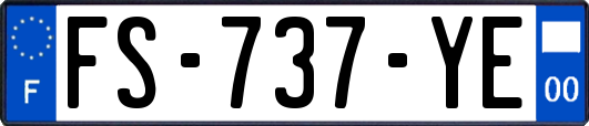 FS-737-YE