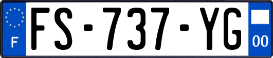 FS-737-YG