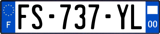 FS-737-YL