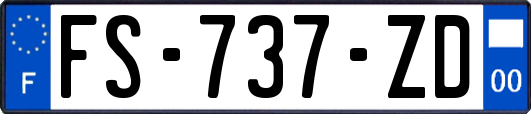 FS-737-ZD