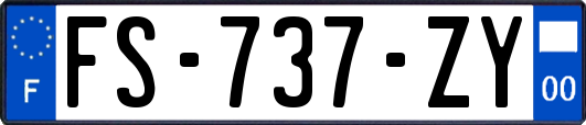 FS-737-ZY