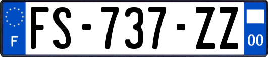 FS-737-ZZ