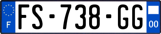 FS-738-GG